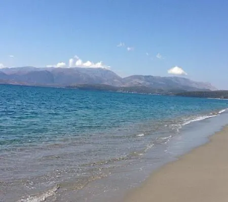 Olivensun 7 *